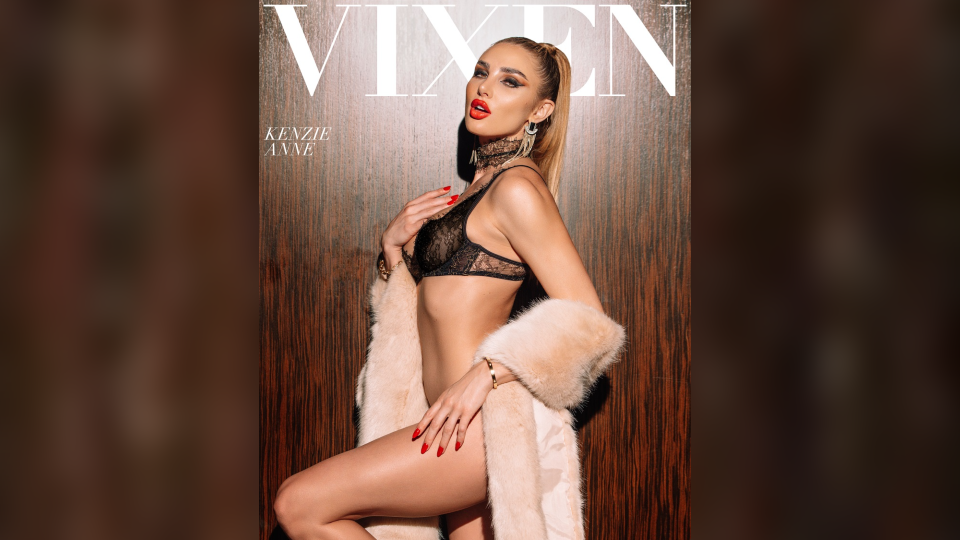 Vixen Media Group