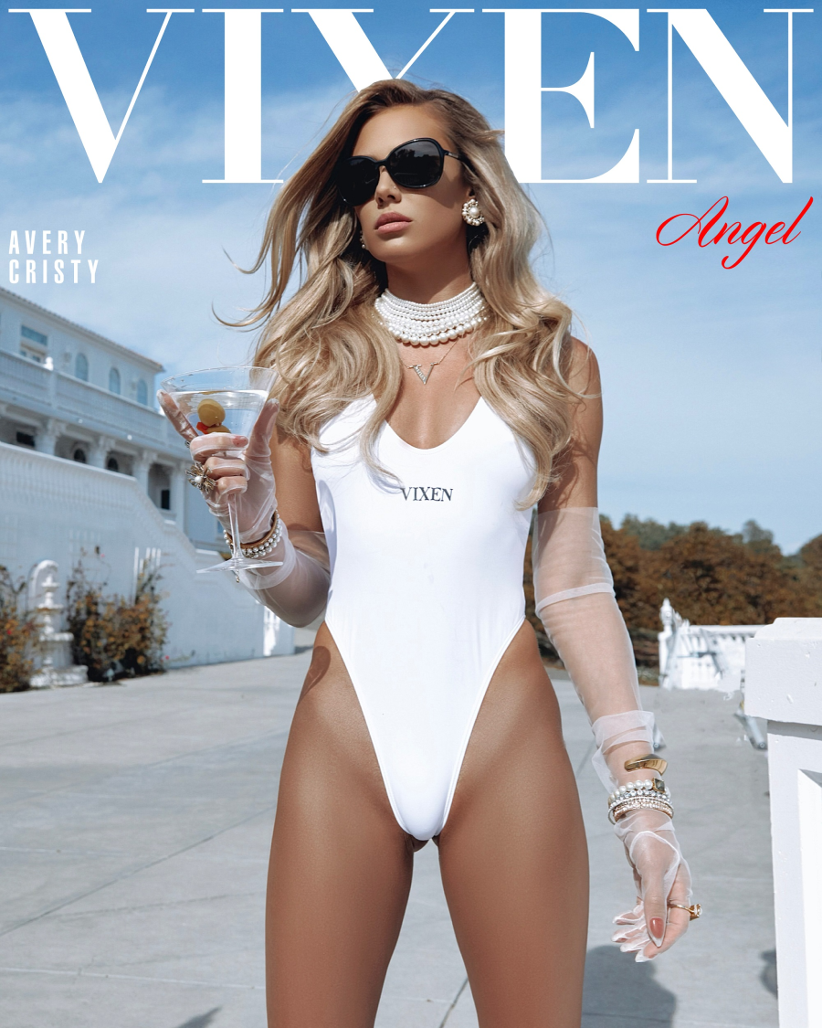 Vixen Media Group